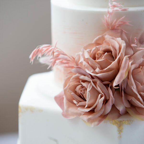 Landmark Day 2 Shoot_58